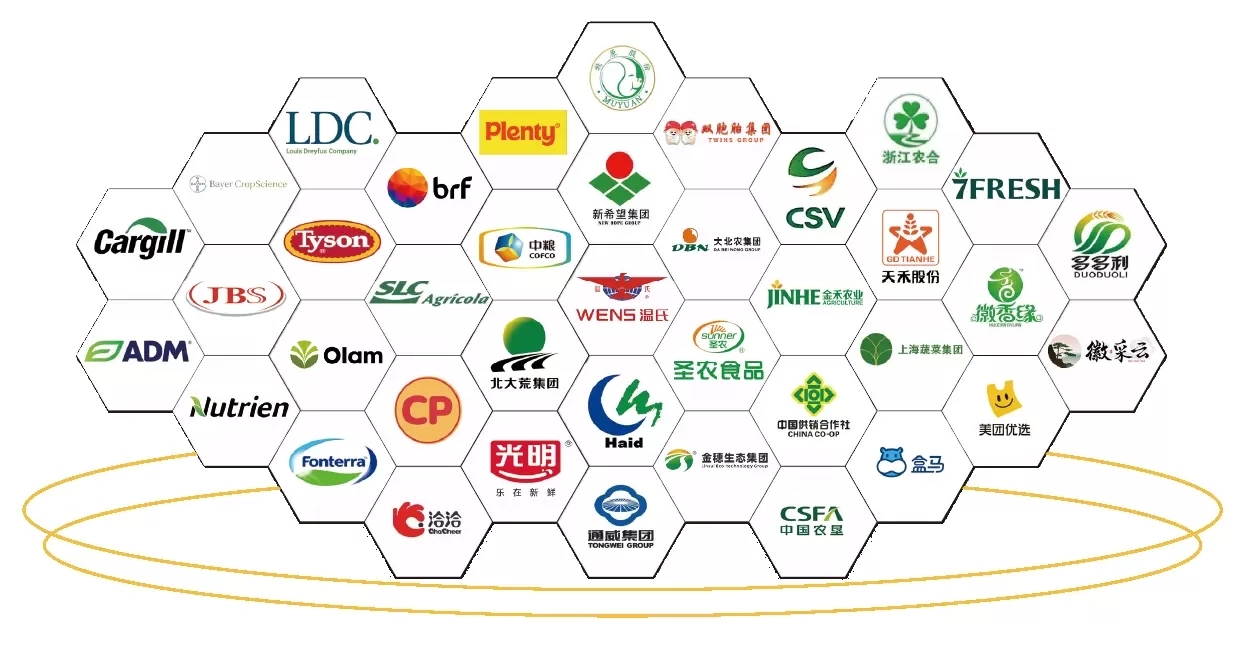 2026 IRID國(guó)際鄉(xiāng)村發(fā)展創(chuàng)新博覽會(huì)正式啟動(dòng)：科技賦能鄉(xiāng)村，創(chuàng)新引領(lǐng)未來！
